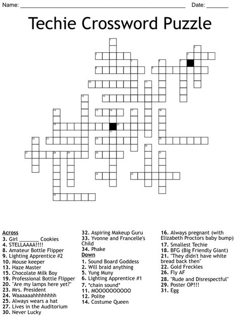 many a techie crossword clue